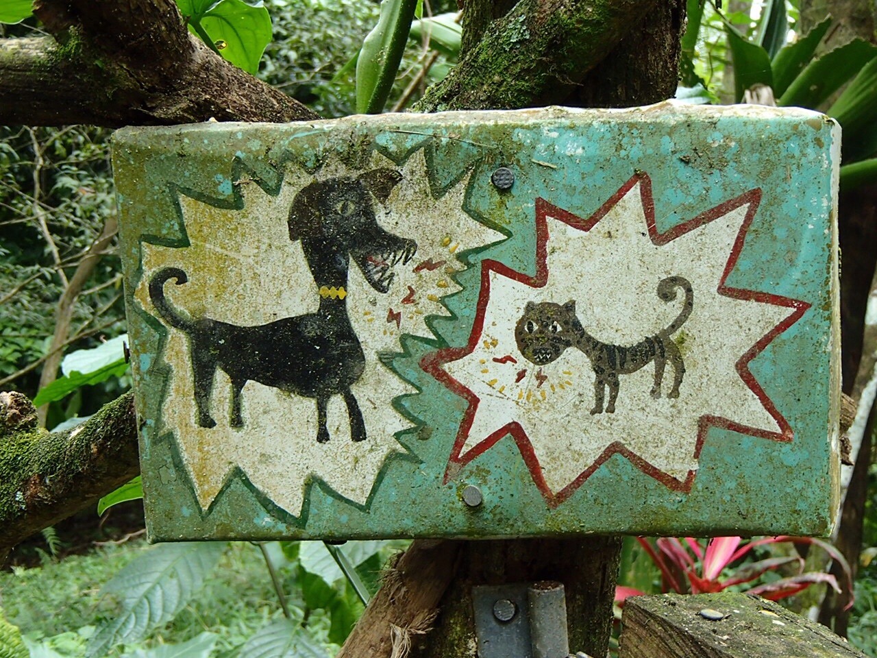 Dog & cat sign