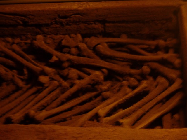 Lots femurs stacked